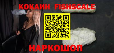 гидропоника Новозыбков