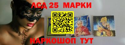 гидропоника Новозыбков