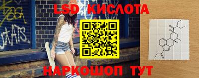 гидропоника Новозыбков