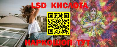 PSILOCYBIN Новодвинск