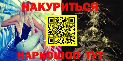 гидропоника Новозыбков