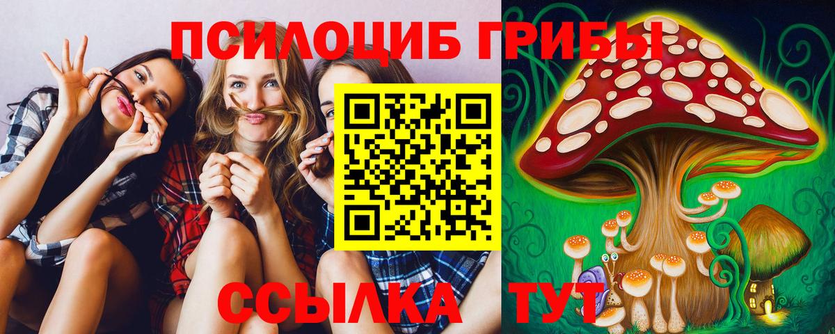 Галлюциногенные грибы MAGIC MUSHROOMS Углич