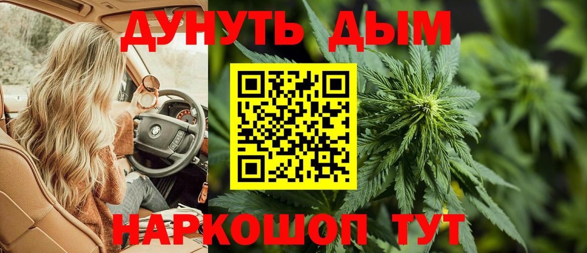 Каннабис сатива  Марихуана сатива  Углич  Вход с VPN 